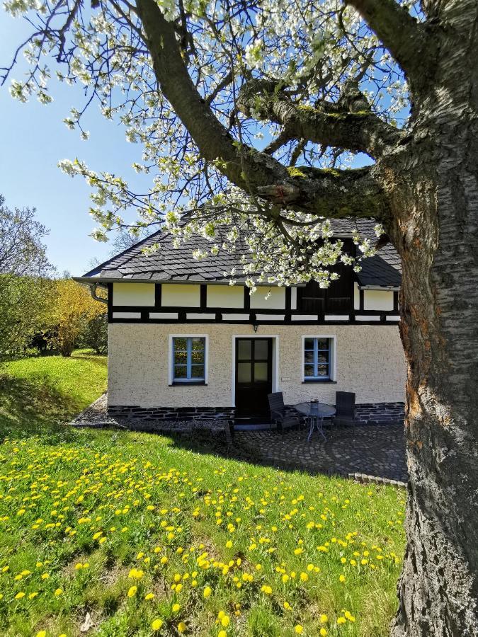 Ferienwohnung "Am Saalehaken" Gossitz Εξωτερικό φωτογραφία
